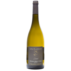 Muscadet S&M sur Lie "L'Envol"