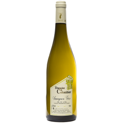 Sauvignon Gris
